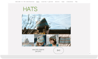 a screen shot of the hats website